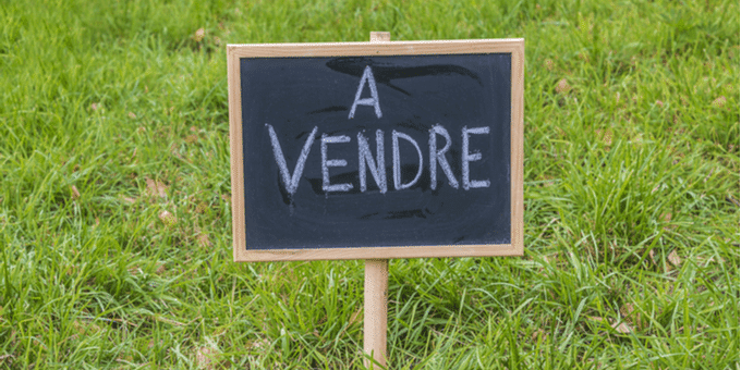 A vendre sepia investissement